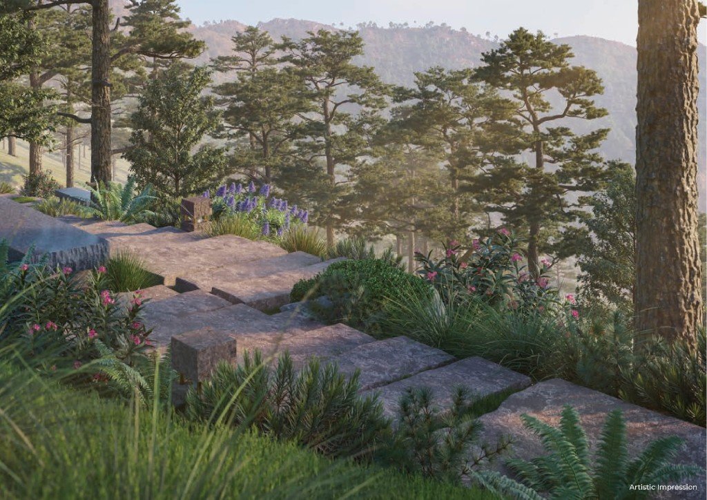 Forest walking trail within the Terra Grande estate